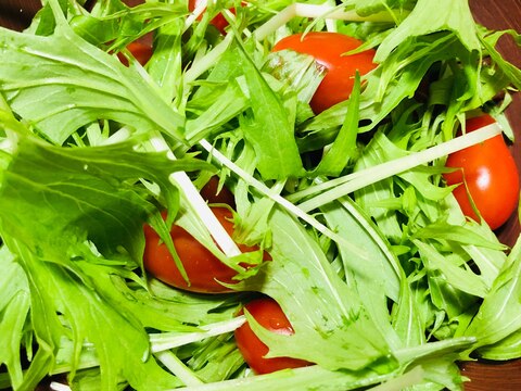 水菜とグリーンオークのトマトサラダ